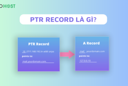 PTR Record là gì? Quy trình kiểm tra PTR Record