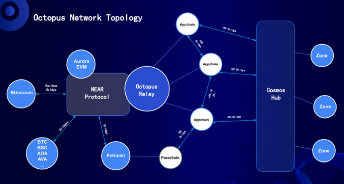 octopus-network-(oct)-la-gi