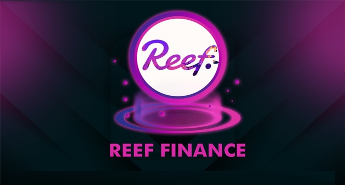 reef-finance-la-gi