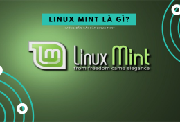 Linux Mint là gì? Ưu điểm và nhược điểm của Linux Mint