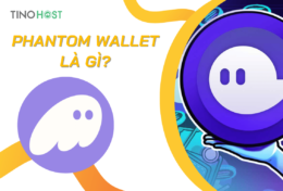 Phantom Wallet là gì? Hướng dẫn cách sử dụng chi tiết ví Phantom