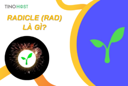 Radicle (RAD) là gì? Tìm hiểu chi tiết về token RAD