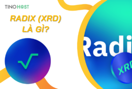 Radix (XRD) là gì? Tìm hiểu chi tiết về dự án Radix