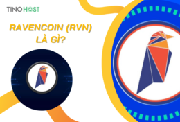 Ravencoin (RVN) là gì? Giới thiệu toàn tập về dự án tiền mã hóa Ravencoin (RVN)