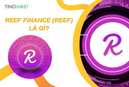 Reef Finance (REEF) là gì? Cách sở hữu và lưu trữ REEF hiệu quả