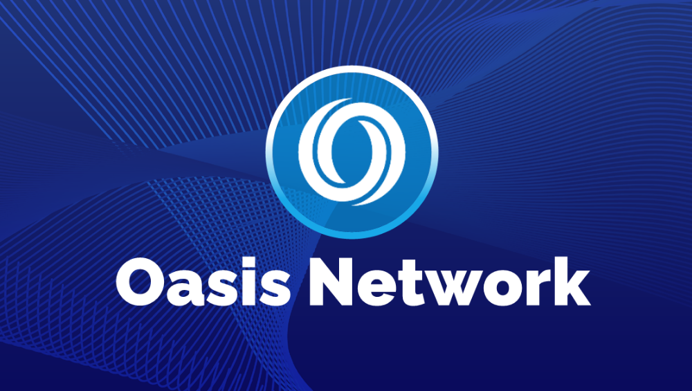 oasis-network-(rose)-la-gi