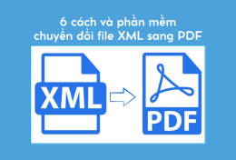 6 cách và phần mềm chuyển đổi file XML sang PDF