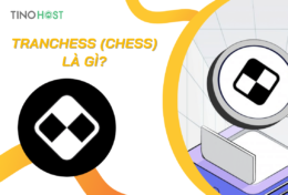 Tranchess (CHESS) là gì? Tìm hiểu chi tiết CHESS Coin