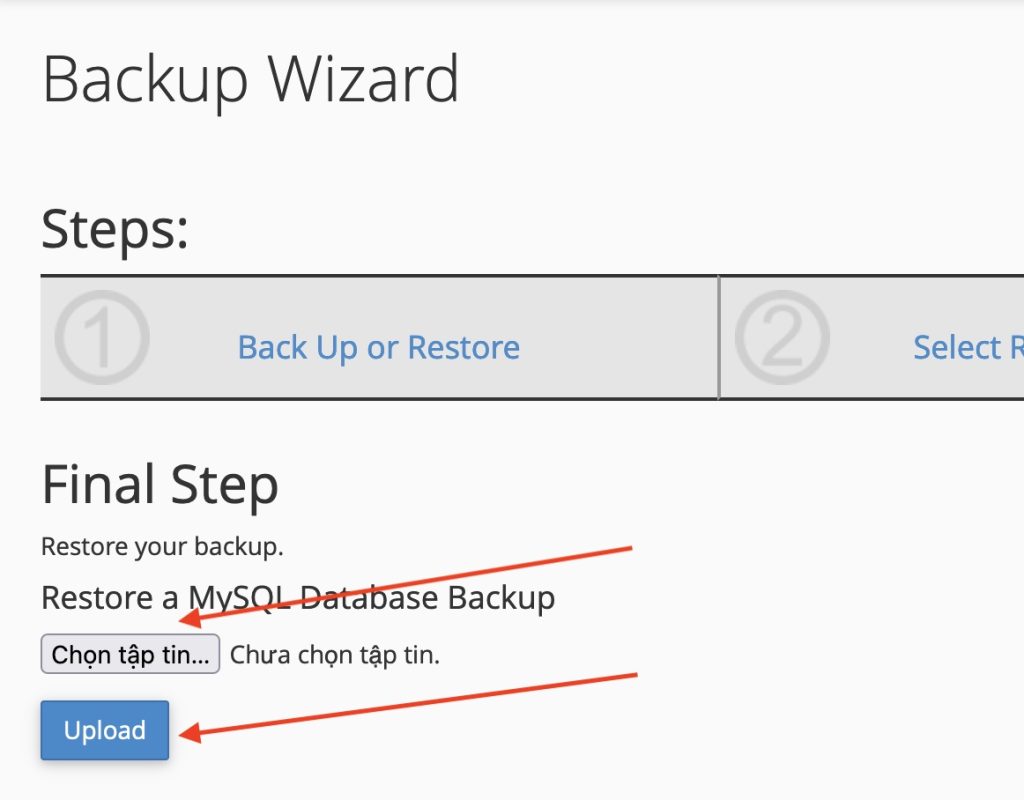 [cPanel] Hướng dẫn tạo full backup hosting (Backup Wizard) 34