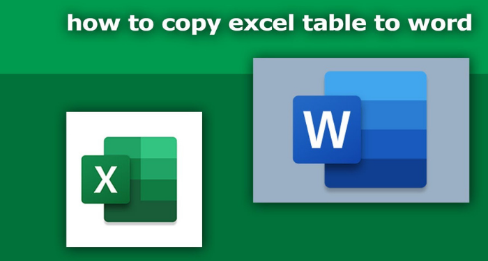 copy-bang-trong-excel-sang-word