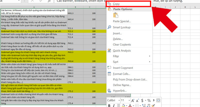 copy-bang-trong-excel-sang-word