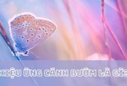 Hiệu ứng cánh bướm là gì? Ứng dụng vào kinh doanh như thế nào?