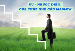 Tìm hiểu ưu – nhược điểm của tháp nhu cầu Maslow