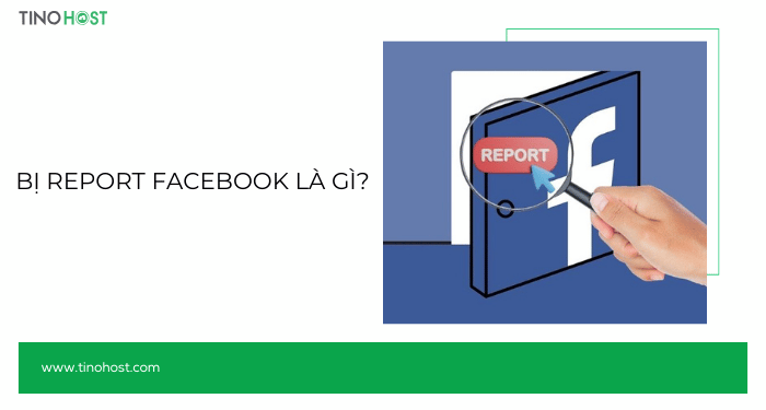 bi-report-facebook-la-gi