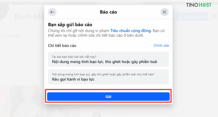 report-bai-viet