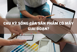 Chu kỳ sống của sản phẩm có mấy giai đoạn? Những điều thú vị đằng sau chu kỳ sống của sản phẩm