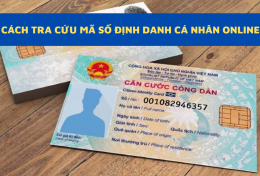 Mã số định danh cá nhân là gì? Cách tra cứu mã số định danh cá nhân online chi tiết