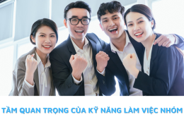 Tầm quan trọng của kỹ năng làm việc nhóm khi đi làm