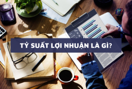 Tỷ suất lợi nhuận là gì? Cách tính tỷ suất lợi nhuận trong báo cáo tài chính