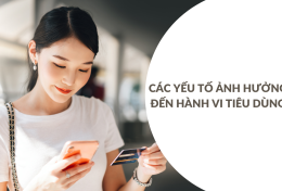 Các yếu tố ảnh hưởng đến hành vi tiêu dùng – bài học kinh doanh đắt giá dành cho doanh nghiệp