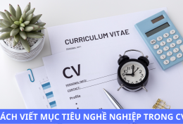 Cách viết mục tiêu nghề nghiệp trong CV thu hút nhà tuyển dụng