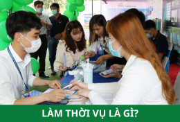 Làm thời vụ là gì? Những việc làm thời vụ online hấp dẫn nhất hiện nay