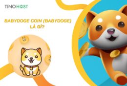 BabyDoge Coin (BABYDOGE) là gì? Tìm hiểu chi tiết về đồng BabyDoge Coin (BABYDOGE)