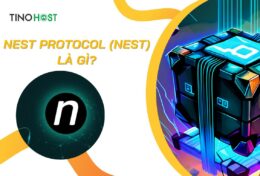 Nest Protocol (NEST) là gì? Mua bán NEST coin ở đâu?