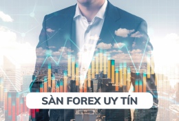 Top 5 sàn Forex uy tín năm 2024 dành cho các tín đồ ngoại hối