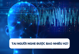 Giải đáp thắc mắc: Tai người nghe được bao nhiêu Hz?