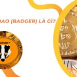 Badger DAO (BADGER) là gì? Tìm hiểu giải pháp đột phá cho Bitcoin trong lĩnh vực DeFi
