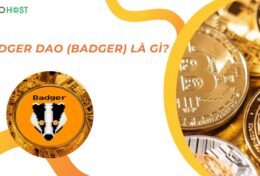 Badger DAO (BADGER) là gì? Tìm hiểu giải pháp đột phá cho Bitcoin trong lĩnh vực DeFi