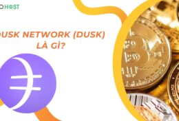 Dusk Network (DUSK) là gì? Mua bán DUSK coin ở đâu? Giá bao nhiêu?