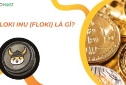 FLOKI Inu (FLOKI) là gì? Khám phá meme coin sở hữu hệ sinh thái đáng kinh ngạc