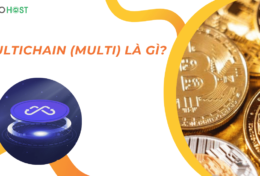 Multichain (MULTI) là gì? Giãi mã cầu nối đa chuỗi tối ưu cho Web3