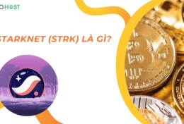 StarkNet (STRK) là gì? Có phải là lựa chọn tối ưu cho nhà phát triển và người dùng dApps?