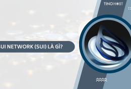 Sui Network (SUI) là gì? Tìm hiểu một số thông tin liên quan đến dự án Sui blockchain