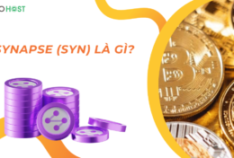 Synapse (SYN) là gì? Mua, bán SYN coin ở đâu? Giá bao nhiêu?