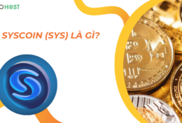 Syscoin (SYS) là gì? Mua, bán SYS coin ở đâu? Giá bao nhiêu?