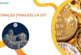 Thales (THALES) là gì? Lợi nhuận đột phá từ giao dịch quyền chọn phi tập trung