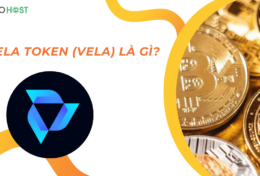 Vela Token (VELA) là gì? Giải mã nền tảng giao dịch đột phá trên Arbitrum