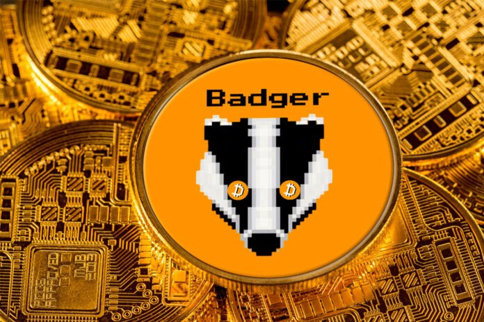 <strong>Badger DAO (BADGER) là gì? Mua, bán BADGER coin ở đâu? Giá bao nhiêu?</strong> 2