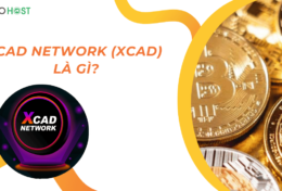 XCAD Network (XCAD) là gì? Khám phá mạng lưới mã hóa dành cho người sáng tạo nội dung