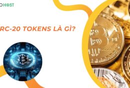 BRC-20 tokens là gì? Tiêu chuẩn token này có gì đặc biệt? Có nên đầu tư không?