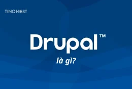 Drupal là gì? Tại sao nên chọn Drupal?