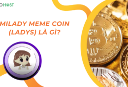 Milady Meme Coin (LADYS) là gì? Nổi lên nhờ “hiệu ứng Elon Musk” hay tiềm năng thực sự?