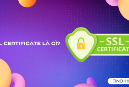 SSL Certificate là gì? Tại sao website cần chứng chỉ SSL?