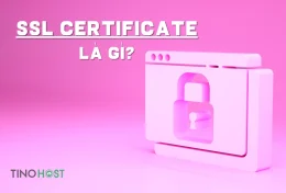 SSL Certificate là gì? Những điều cần biết về chứng chỉ SSL Certificate