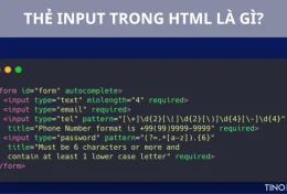 Thẻ Input trong HTML là gì? Tìm hiểu chức năng, cấu trúc và ví dụ thực tế