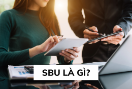 SBU là gì? Tìm hiểu về SBU qua những ví dụ thực tiễn